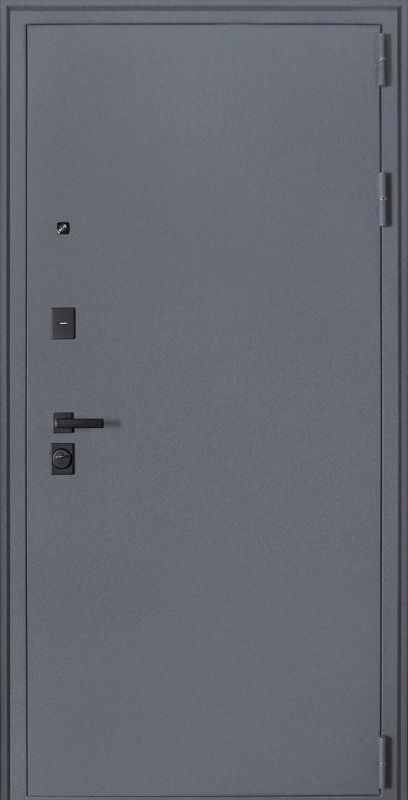 Входная дверь АСД "Беркут "с зеркалом