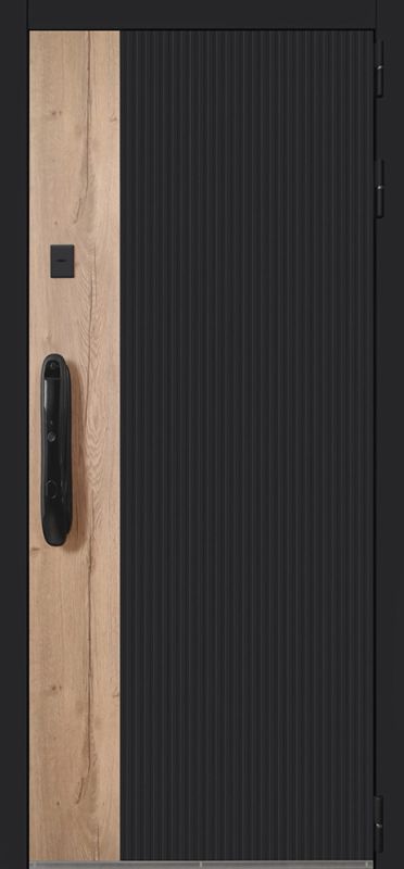 Входная дверь АСД «Конструктор» с зеркалом (биометрический замок)