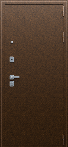 Входная дверь АСД "Спартак" с зеркалом