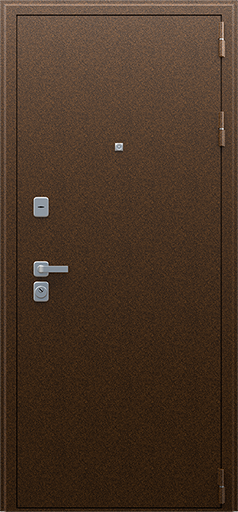 Входная дверь АСД "Спартак"