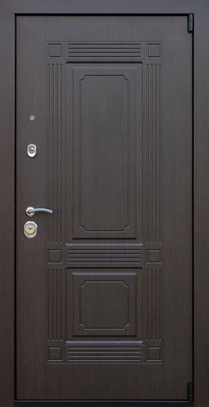 Входная дверь АСД "Викинг" с зеркалом